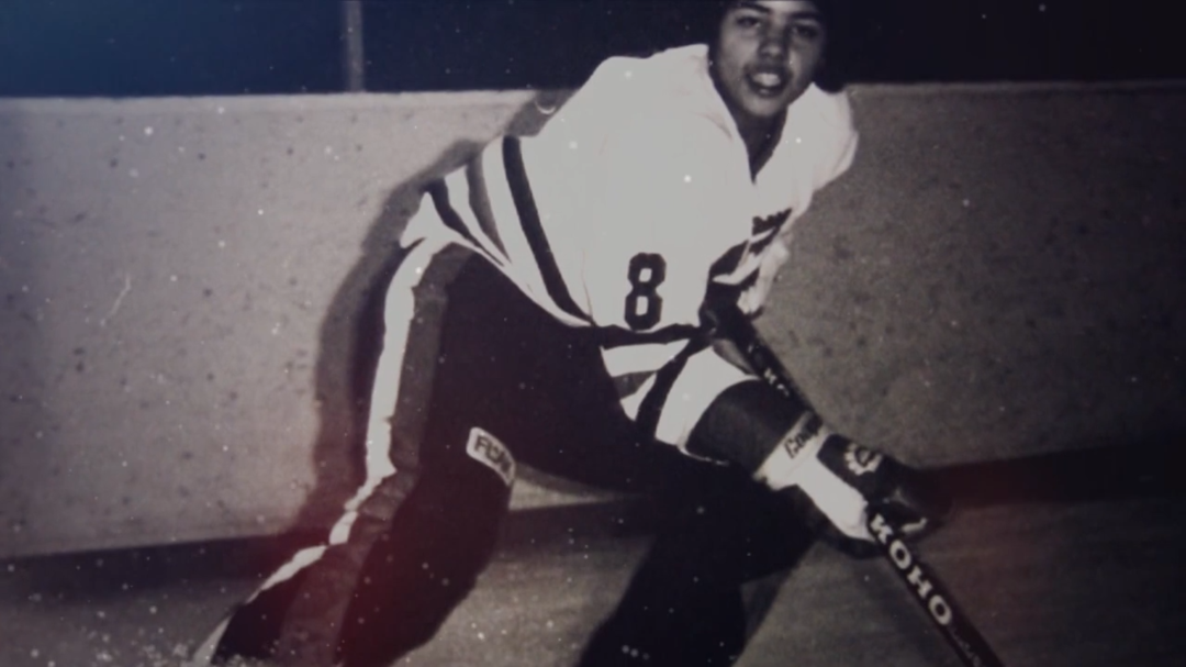 Lanny McDonald Hockey Stats and Profile at